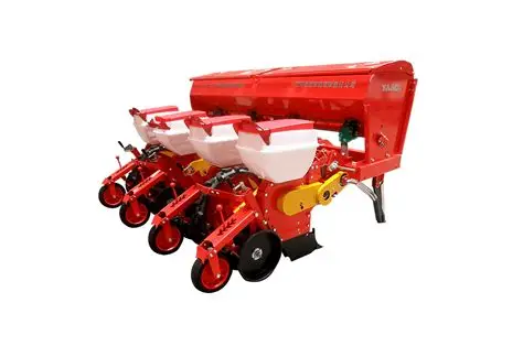 بذور المزرعة